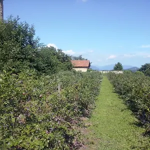  Alloggio per agriturismo Agriturismo Cascina Marinona
